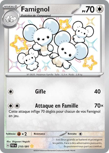 Famignol – 210/91