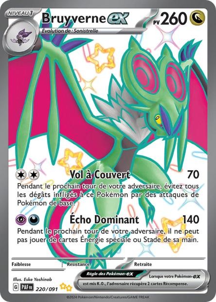 Bruyverne EX – 220/91