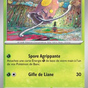 Terracool - 015/182 - Faille Paradoxe (Normale)
