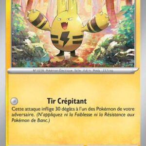 Elekid - 059/182 - Faille Paradoxe (Normale)
