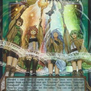 Yu-Gi-Oh! Les Charmeuses Spirituelles : OF UR BLGG-FR145